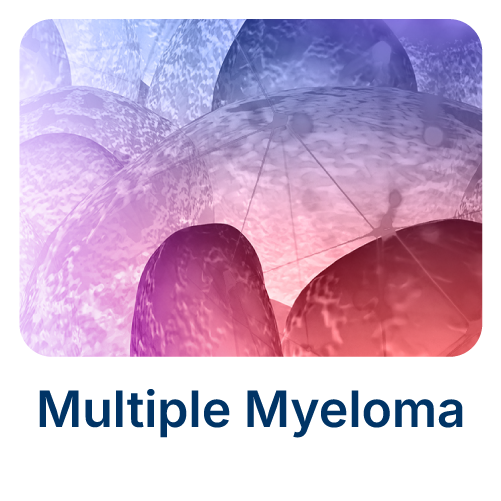 Multiple Myeloma Multiple Myeloma